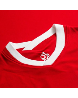 Koszulka Nike Polska Breathe Stadium 2020 CD0721-688