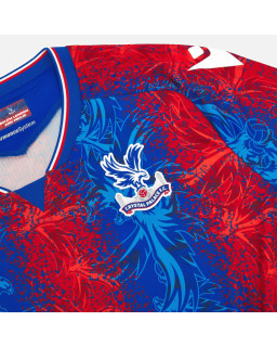 Koszulka Crystal Palace FC 2024/25 600013000001